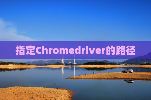 指定Chromedriver的路径